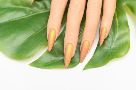 Female hand with stiletto nail design. Glitter orange nail polish manicure. Female hand with perfect manicure and green tropical leaf on white backgroundの写真素材
