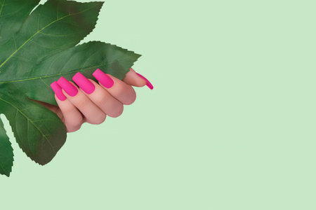 Female hand with long pink nail polish. Nail design in pink shade. Women hand with long manicure and green plant on green background.の写真素材