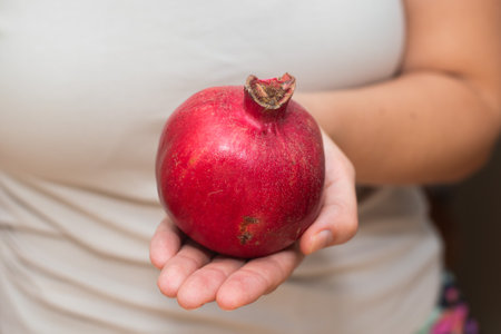 Cradling a Whole Pomegranate. Holding a whole ripe pomegranate in the palmsの写真素材
