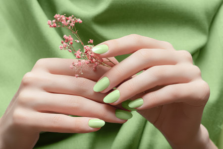 Female hands with white nail design. Female hands holding pink autumn flower. Woman hands on green fabric background.の写真素材