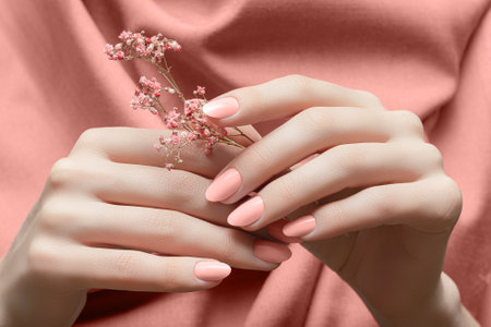 Female hands with peach color nail design. Female hands holding pink autumn flower. Woman hands on peach color fabric background.の写真素材