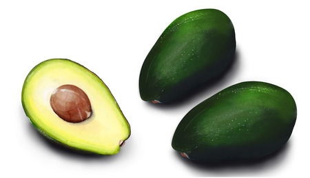Hand drawn watercolor Isolated avocado