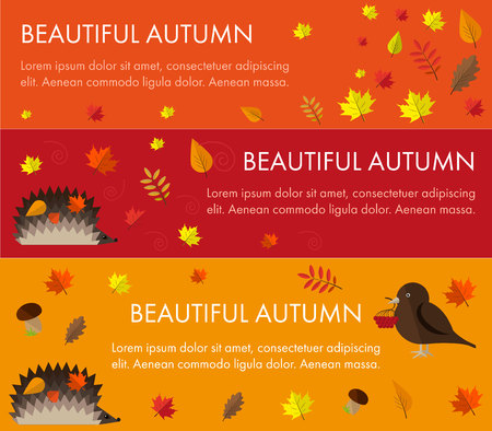 Set autumn bannersのイラスト素材
