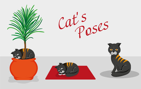 Set of cat's poses. dark gray cat asleep in a flower on the mat and sittingのイラスト素材