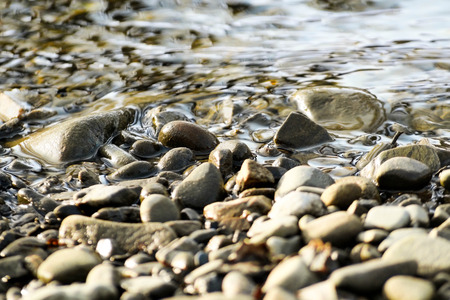 river bank with rocksの写真素材