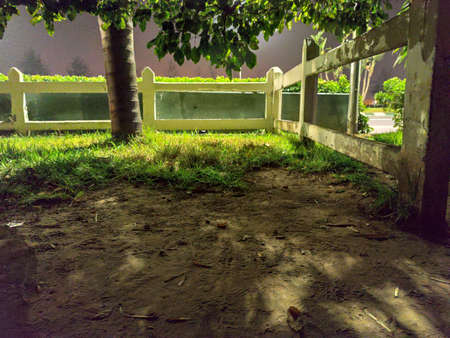 a tree surrounded by a fenceの写真素材