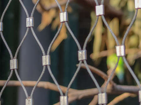 wonderful bird sitting in a cageの写真素材