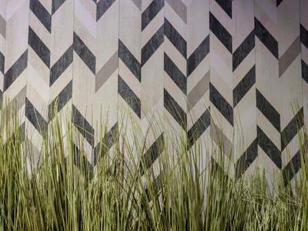 grass in front of an ornate wallの写真素材