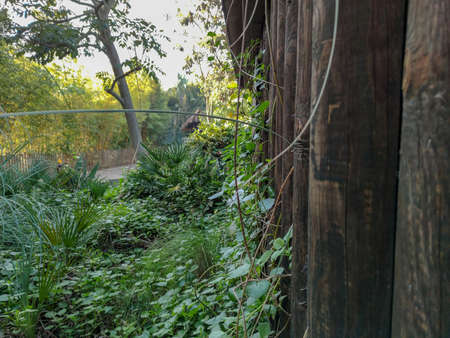 a wonderful view in the forestの写真素材