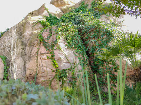 a beautiful rock with green plant inside itの写真素材