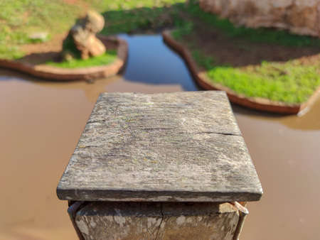 a beautiful peace of wood in front of the lakeの写真素材