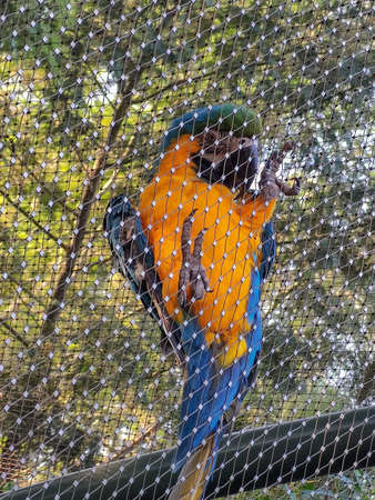 a beautiful bird sitting alone. High quality photoの写真素材