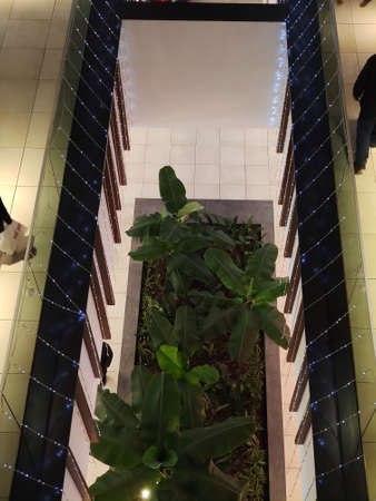 a view of an inside garder. High quality photoの写真素材
