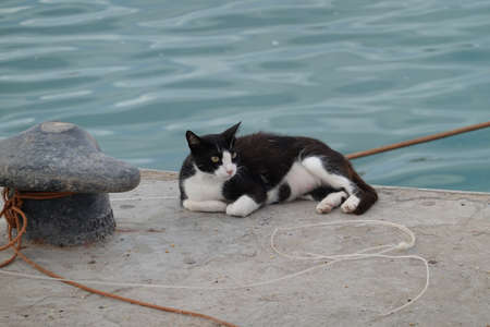 the life in the street. High quality Photoの写真素材