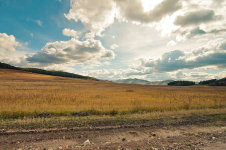 Buryatia fields