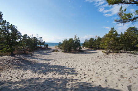 path to Baikalの写真素材