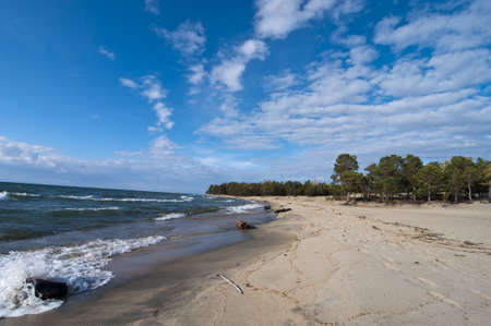 Log on Baikal beachの写真素材