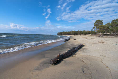 Log on Baikal beachの写真素材