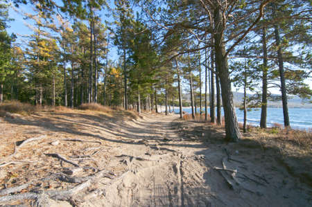 Road near Baikal shoreの写真素材