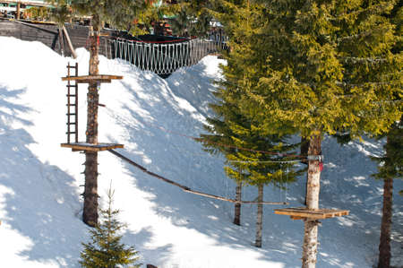 Training constructions for alpinists and climbers in spruce forestの写真素材