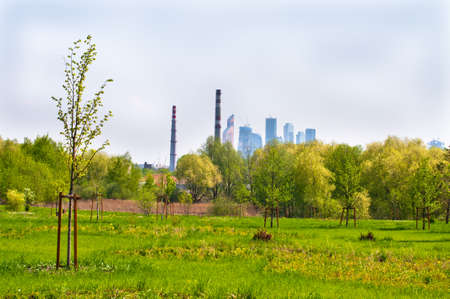 Walkway laying across a lawn, with trees and buildings and steaming pipes on a backgroundの写真素材