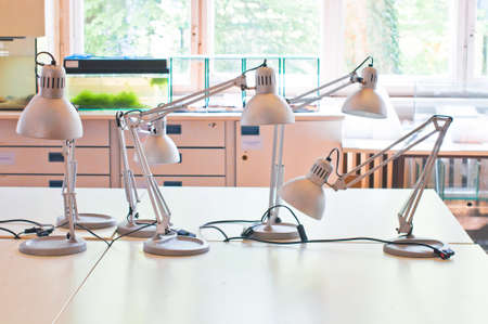 Adjustable table lamps standing on a table