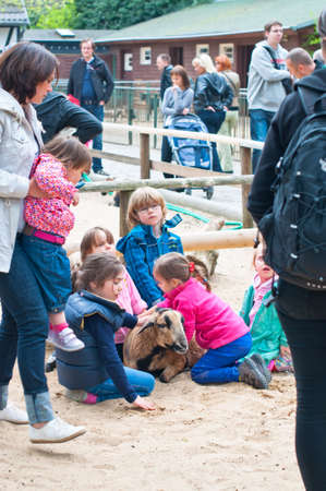 Playing children in caress zone of Berlin zone with pet sheep. Berlin, Germany, may 2013.のeditorial素材