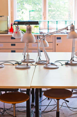 Adjustable table lamps standing on a tableの写真素材