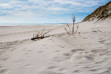 Sand beach in Denmark in Hvide Sande town surroundingsの写真素材