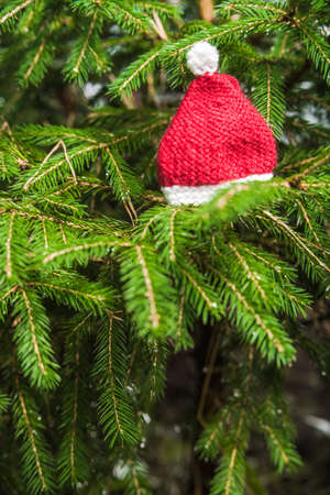 Knitted Chrismas toys on green fir branchesの写真素材