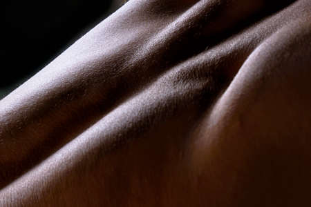 Skin hills of female body looking like landscape image