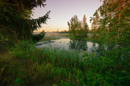 Lake near the road in Moscow region taken in the Morningの写真素材