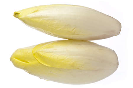 Brussels Chicory isolated over white without reflectionの写真素材