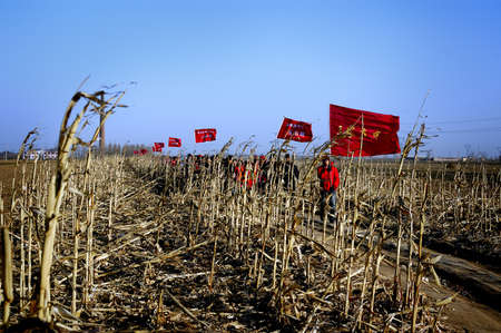 Cold winter, in order to exercise the will of the students, the school organized students to long-distance walking. December 30, 2010, Xingtai City, Hebei Province, Chinaのeditorial素材