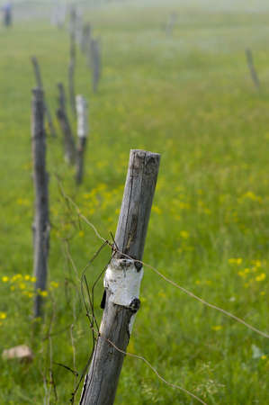 Grasslands, pastures separated by railings.With the development of the railing and gradually became a wire and wood combined with the evolution from pure wood.の写真素材