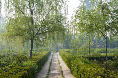 peony park road.