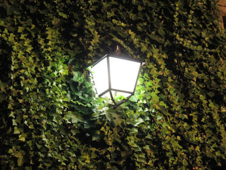 Lighted lantern at night streetの写真素材