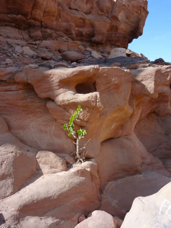 Color canyon in Egypt, Sinaiの写真素材