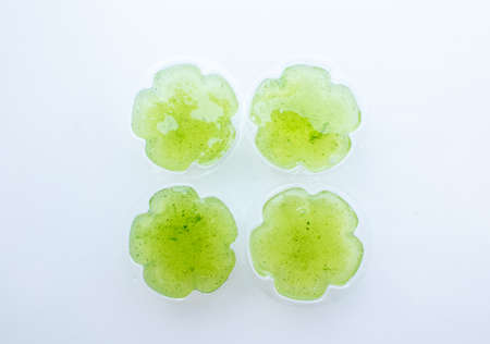 Green jelly to eat and deliciousの写真素材