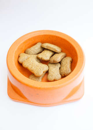Dog food in the containerの写真素材