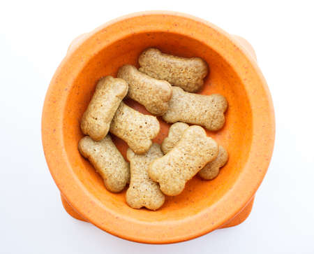 Dog food in the containerの写真素材