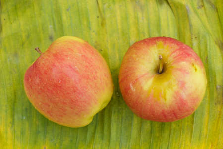 Two apple on a banana leaf