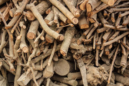 Timber cut up for kindlingの写真素材