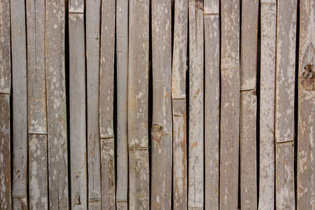 Wood partition are busy ramsの写真素材