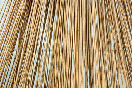 Brush of the broom wood lineの写真素材
