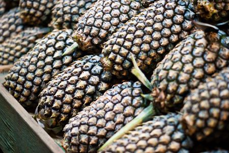 Pineapplesの写真素材