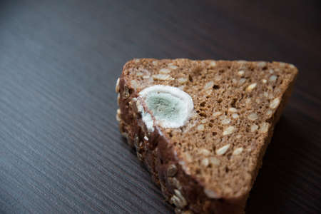 There was mold on a piece of black bread.