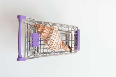 There is a seashell in the shopping basket. Concept of travel booking and purchasing.