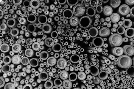 Bamboo texture background. Natural pattern for Wallpaper. The surface of old sticks tubesの写真素材