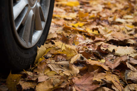Car wheel on the background of yellow autumn foliage. Concept of preparing the car for the cold...
